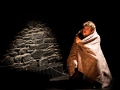 jason-et-les-argonautes-Nico-M-Photographe-7