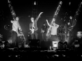 jungle by night, hall8, vendredi 5,  Nico M Photographe-10