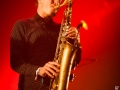 jungle by night, hall8, vendredi 5,  Nico M Photographe-5
