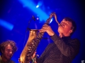 jungle by night, hall8, vendredi 5,  Nico M Photographe-6