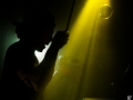 jungle, Nico M Photographe