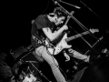 albatros, Kice qu'a l'chat, mondo bizarro, Nico M Photographe-10