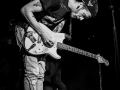 albatros, Kice qu'a l'chat, mondo bizarro, Nico M Photographe-12