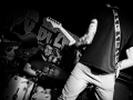 albatros, Kice qu'a l'chat, mondo bizarro, Nico M Photographe-13