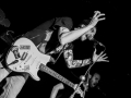 albatros, Kice qu'a l'chat, mondo bizarro, Nico M Photographe-14