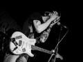 albatros, Kice qu'a l'chat, mondo bizarro, Nico M Photographe-3
