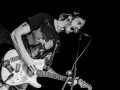 albatros, Kice qu'a l'chat, mondo bizarro, Nico M Photographe-4