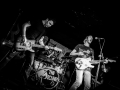 albatros, Kice qu'a l'chat, mondo bizarro, Nico M Photographe-7