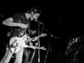 albatros, Kice qu'a l'chat, mondo bizarro, Nico M Photographe-8