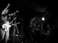 albatros, Kice qu'a l'chat, mondo bizarro, Nico M Photographe-9
