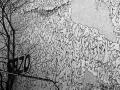 berlin, Nico M Photographe-57
