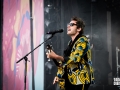 lamomali de M, Vieilles Charrues 2017, Nico M Photographe