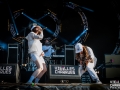 las aves,Vieilles Charrues, dimanche, Nico M Photographe-4