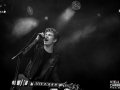 last train,Vieilles Charrues, jeudi, Nico M Photographe-5