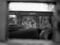 berlin, Nico M Photographe-82