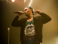le zooo,hall 8, samedi 6,  Nico M Photographe-7