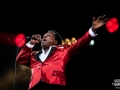lee fields & the expressions - Nico M Photographe-4