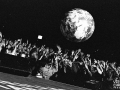 les insus, argentique, Vieilles Charrues, Nico M Photographe-3