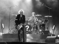 les insus, argentique, Vieilles Charrues, Nico M Photographe