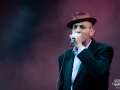 les negresses vertes - Nico M Photographe-4