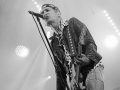les wampas,argentique, Roi Arthur 2015, Nico M Photographe-5
