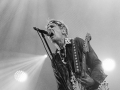 les wampas,argentique, Roi Arthur 2015, Nico M Photographe-7