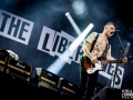the libertines,Vieilles Charrues, samedi, Nico M Photographe-6