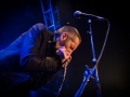 little bob blues bastards, le grand soufflet 2016,, Nico M Photographe-10