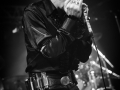 little bob blues bastards, le grand soufflet 2016,, Nico M Photographe-15