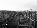 london, Nico M Photographe-13