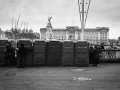 london, Nico M Photographe-15