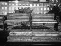 london, Nico M Photographe-29