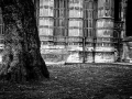 london, Nico M Photographe-32