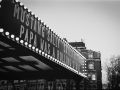 london, Nico M Photographe-38