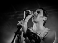 los ticks, bout de ficelles, Nico M Photographe-12