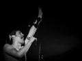 los ticks, bout de ficelles, Nico M Photographe-16