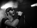 los ticks, bout de ficelles, Nico M Photographe-25