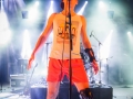 los ticks, bout de ficelles, Nico M Photographe-6
