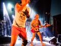 los ticks, bout de ficelles, Nico M Photographe-7