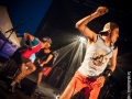 los ticks, bout de ficelles, Nico M Photographe-9