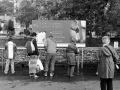 lourdes 135, Nico M Photographe-6