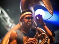lucky chops, hall 8, samedi, Nico M Photographe