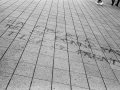 manif 28.04, rennes, Nico M Photographe-42