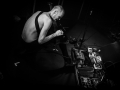 mantar, Nico M Photographe-3