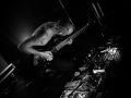 mantar, Nico M Photographe-8