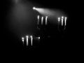 mantar, Nico M Photographe