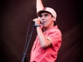 manu chao, Vieilles Charrues 2017, Nico M Photographe