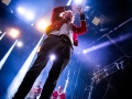 Meute - Nico M Photographe