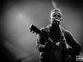 mickey 3D,Vieilles Charrues, jeudi, Nico M Photographe-2