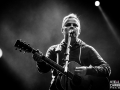mickey 3D,Vieilles Charrues, jeudi, Nico M Photographe-5
